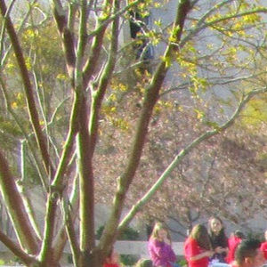 Meet your Posher, Necha